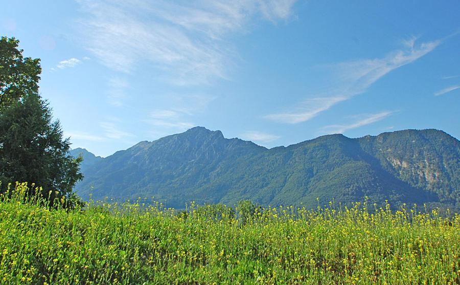 Apartament Boardinghouse Bad Reichenhall Zewnętrze zdjęcie